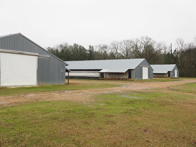 Poultry Farm for Sale, 3 House Pul : Carthage : Leake County : Mississippi