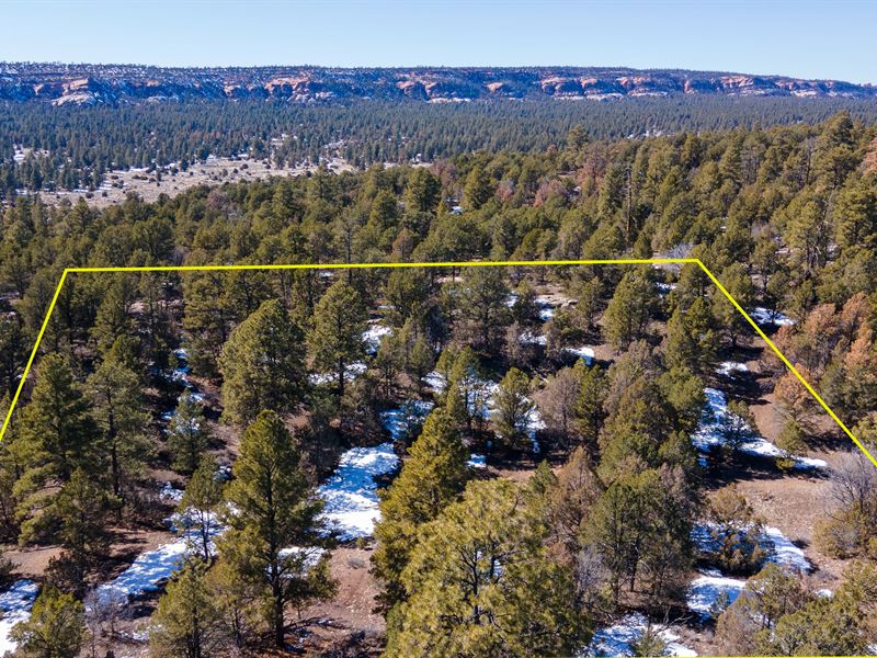 Peaceful Living Among The NM Pines, Farm for Sale by Owner in New