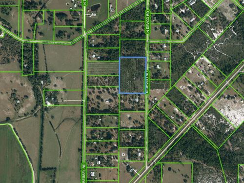 10.1 Acre Orange Grove : Avon Park : Highlands County : Florida