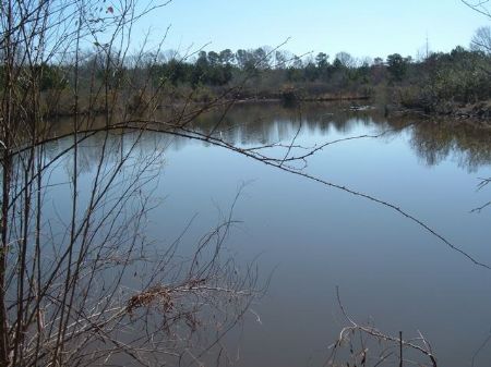 138 Acres Of Land for Sale : Pine Level : Montgomery County : Alabama