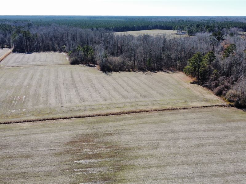 Farm Land for Sale in Chocowinity, Farm for Sale in North Carolina, 305207 FARMFLIP