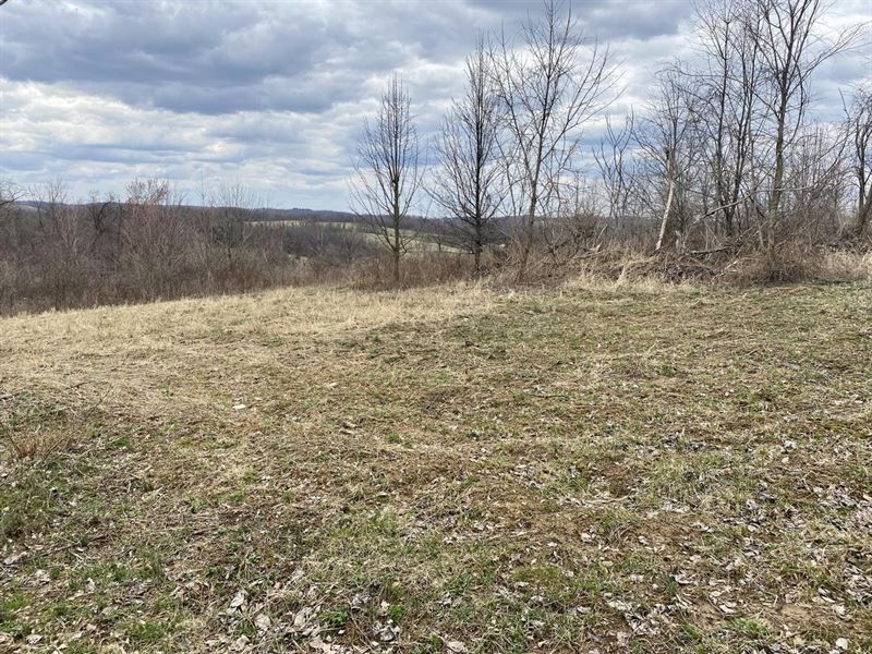 Parker Rd, Avella Pa, 32 Acres, Farm for Sale in Pennsylvania, 305413