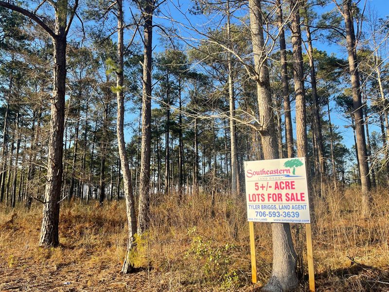 5 to 8 Acre Lots in Lee County : Salem : Lee County : Alabama