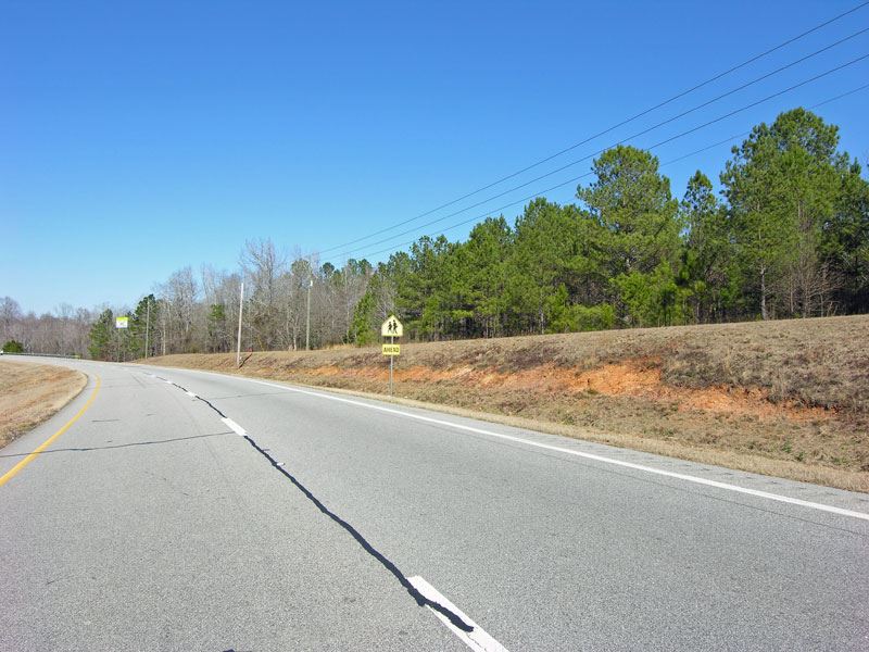 Reduced 26 Acres, Waynesboro Bypass : Waynesboro : Burke County : Georgia