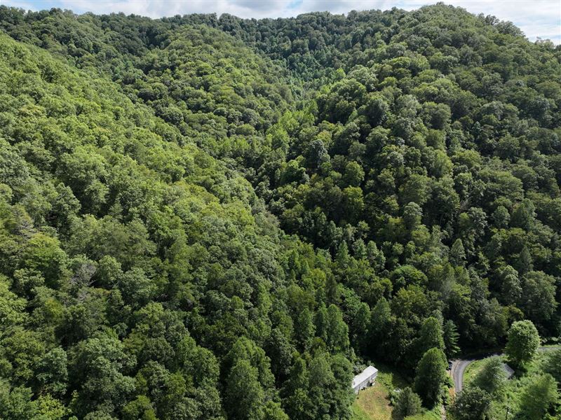 37.6 Ac in McDowell County, WV : Panther : McDowell County : West Virginia