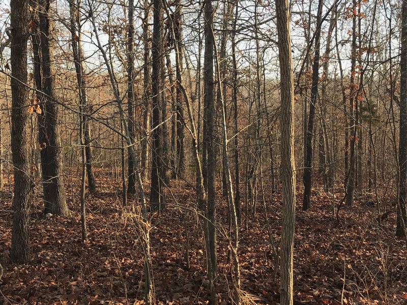 Income Opportunity Lot for Sale : Mammoth Spring : Fulton County : Arkansas