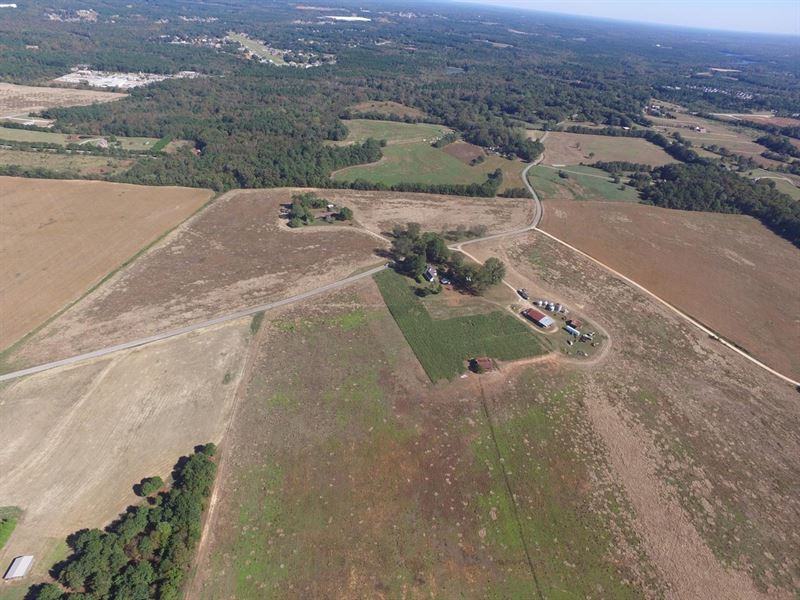 65.68 Acres, Luella Road : Locust Grove : Henry County : Georgia