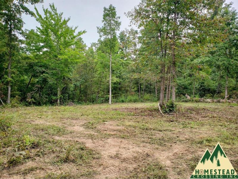 Near State Land & Current River, Farm for Sale by Owner in Missouri