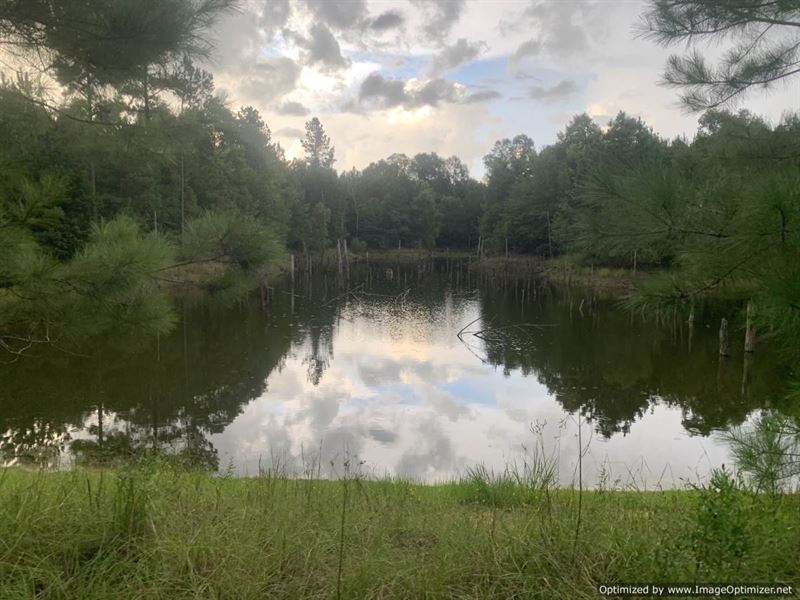 25+/- Ac Hunting Land, 2 Ac Lake : Wesson : Copiah County : Mississippi