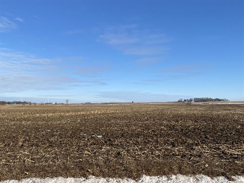 Cropland and Swine Facility : Fostoria : Clay County : Iowa