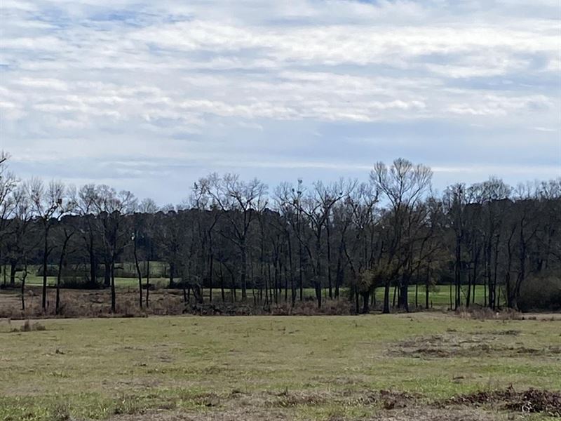 10 Acres Pastureland for Sale Amite : Smithdale : Amite County : Mississippi