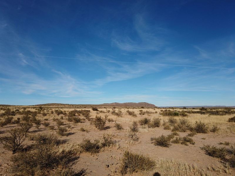 40 Acre West Texas Ranch Property, Farm for Sale by Owner in Texas