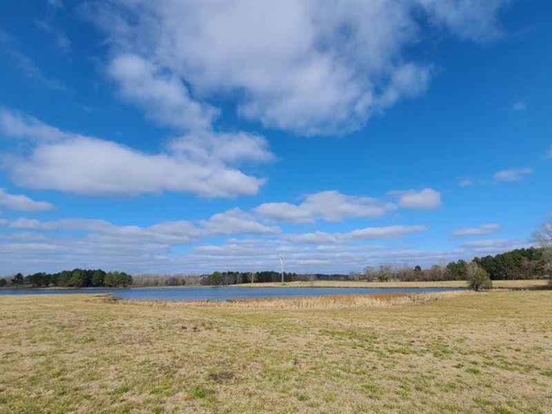 Blue Springs Farm, Farm for Sale in Alabama, 306319 FARMFLIP