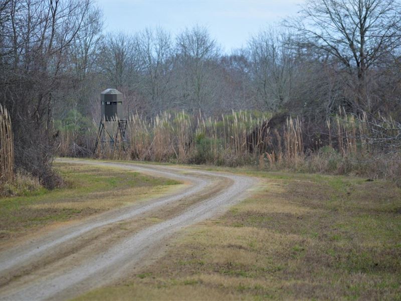 Womack Land on Bayou Cocodrie, Farm for Sale in Louisiana, 306436