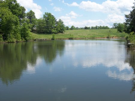 Pasture, Hardwoods and Creek : Greensboro : Greene County : Georgia