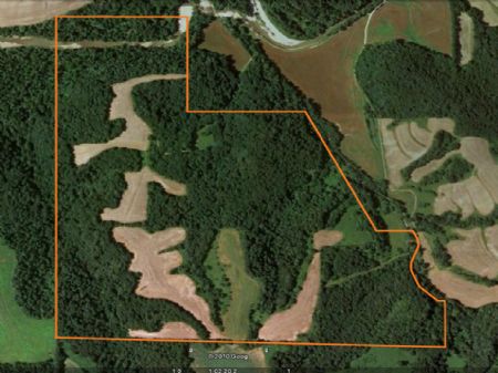 245 Acres, Superior Hunting Farm : New Canton : Pike County : Illinois