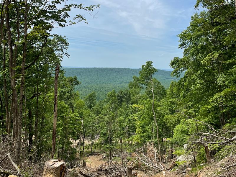 North Alabama Recreational Tract Farm for Sale in Estillfork, Jackson