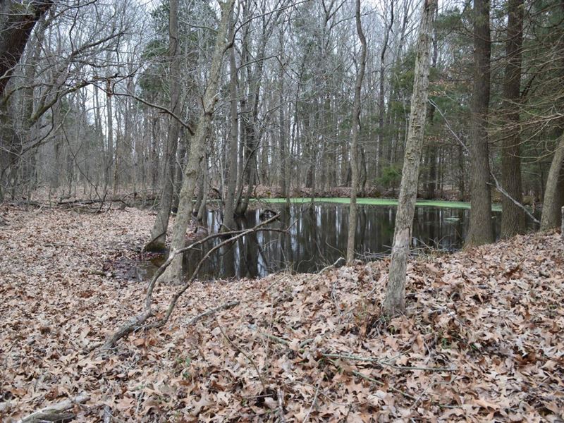 Greene County, Ar, 19 Acres Loyd, Farm for Sale in Arkansas, 306892