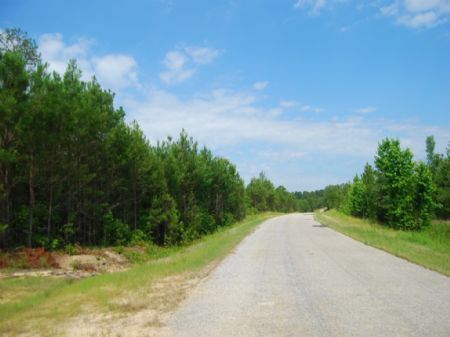 Riverfront, Hunting, Timber Invest. : Chester : Chester County : South Carolina