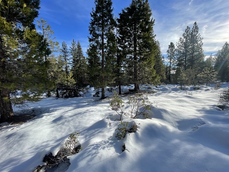 Huge 8.42 Acre Wildhorse Spring Lot : Bonanza : Klamath County : Oregon