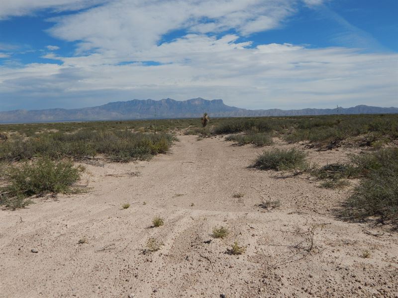 No Restrictions Land with Electric, Farm for Sale by Owner in Texas, 307200 FARMFLIP