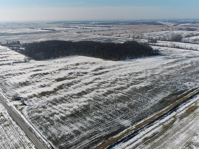 Land Auction, 275 +/ Acres Offered, Farm for Sale in Indiana, 307364