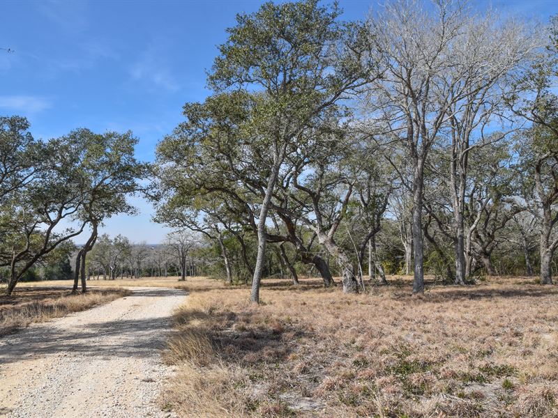 Russel Hill Ranch : Flatonia : Gonzales County : Texas