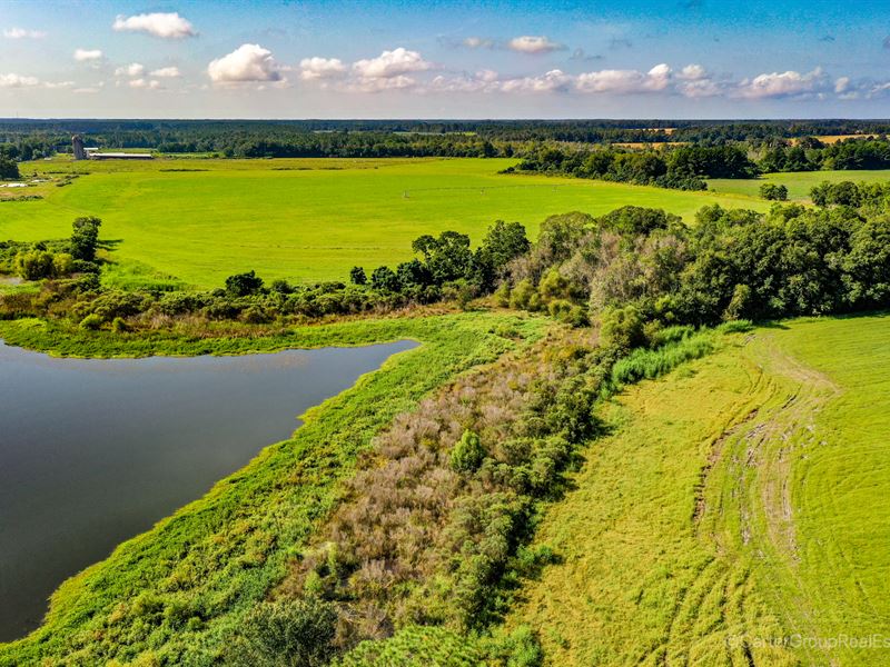 Home, Farm, Pond, Pastures, SE GA : Bristol : Pierce County : Georgia