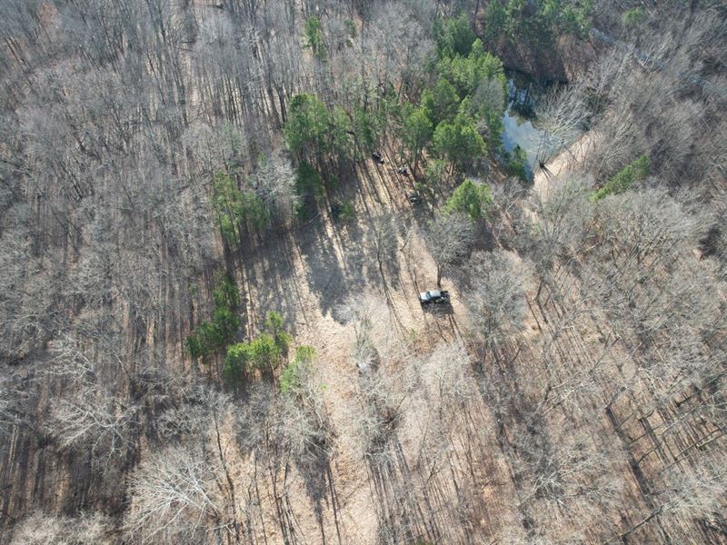 Land for Sale, Monroe County, Nas, Farm for Sale in Indiana, 307879