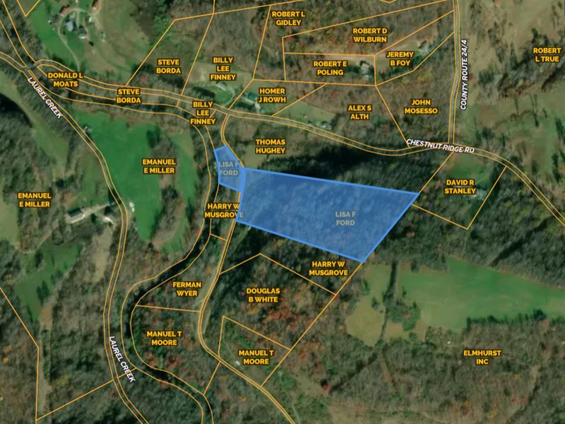 10.26 Acres in Barbour County, WV, Farm for Sale by Owner in West