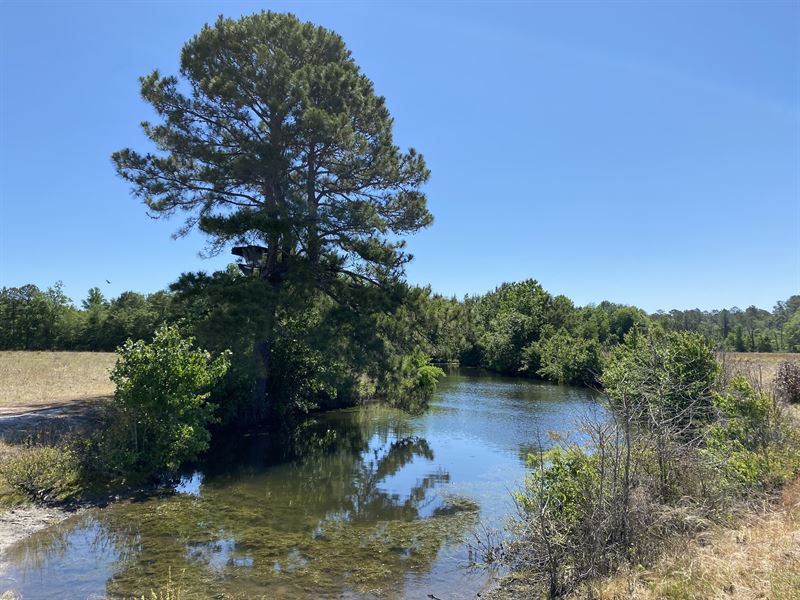 Oates Farm, Farm for Sale in South Carolina, 308009 FARMFLIP