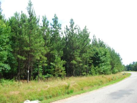 47.5 Ac Near Sumter National Forest : Union : Union County : South Carolina