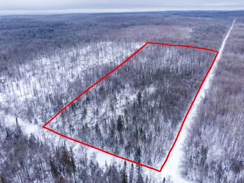 5 Acres Perfect To Build On Farm for Sale by Owner in Ojibwa, Sawyer