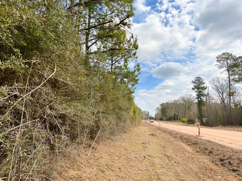 19 Acres, T-3 FM 1746 : Town Bluff : Tyler County : Texas