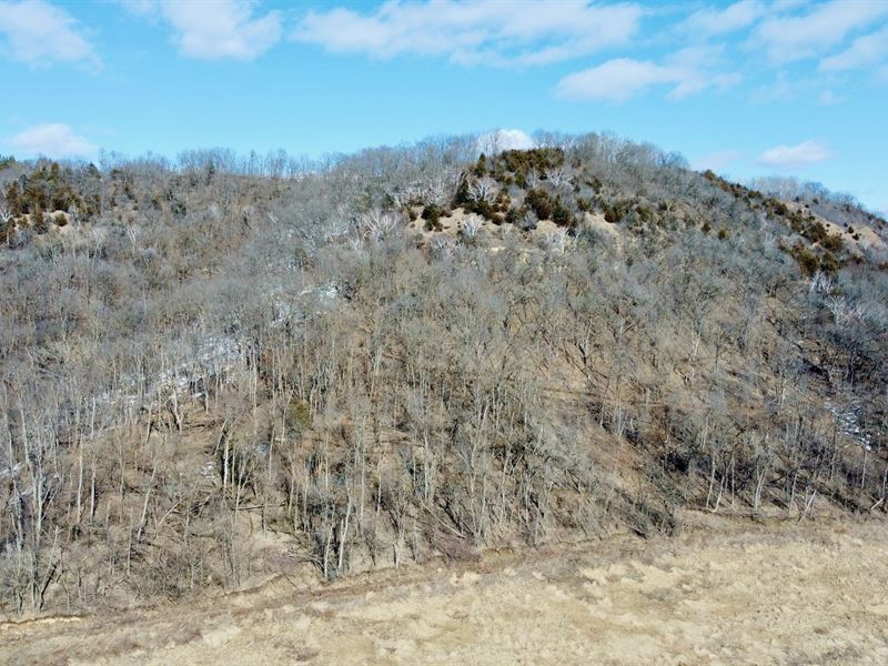 30.38 Acres Buffalo County : Fountain City : Buffalo County : Wisconsin