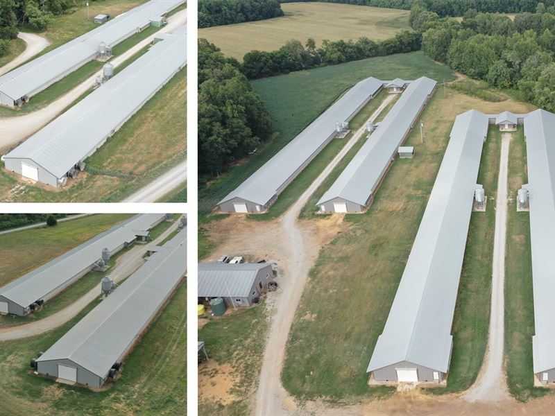 Ferguson Farm : Elora : Lincoln County : Tennessee