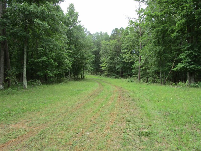 Land for Sale in Southern Missouri, Farm for Sale in Missouri, 308227
