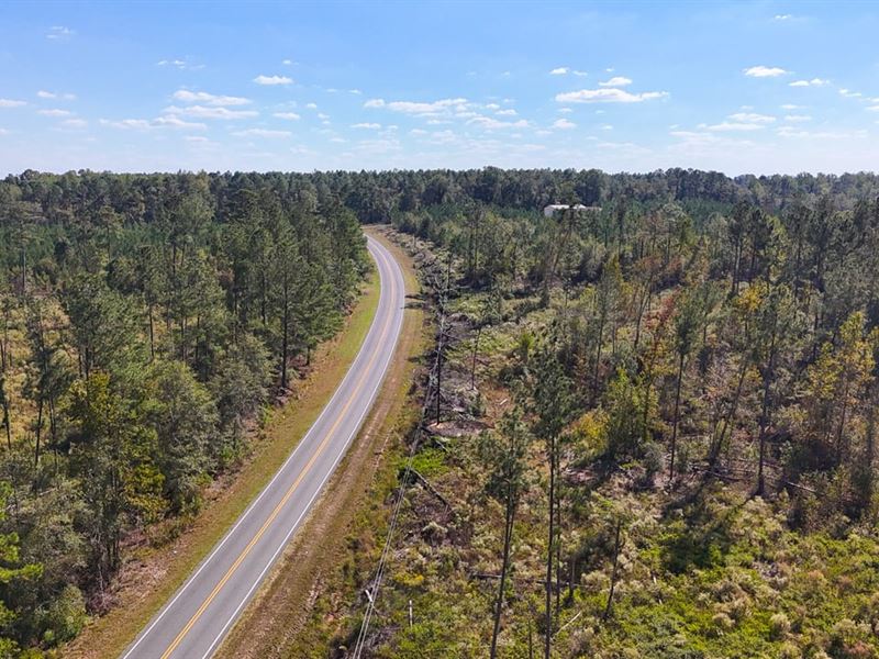 Hurricane Creek West Tract : Alma : Bacon County : Georgia