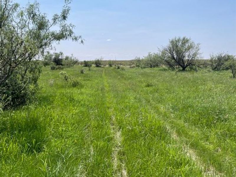 10 or 20 Acre Farm in The Desert, Farm for Sale by Owner in Texas