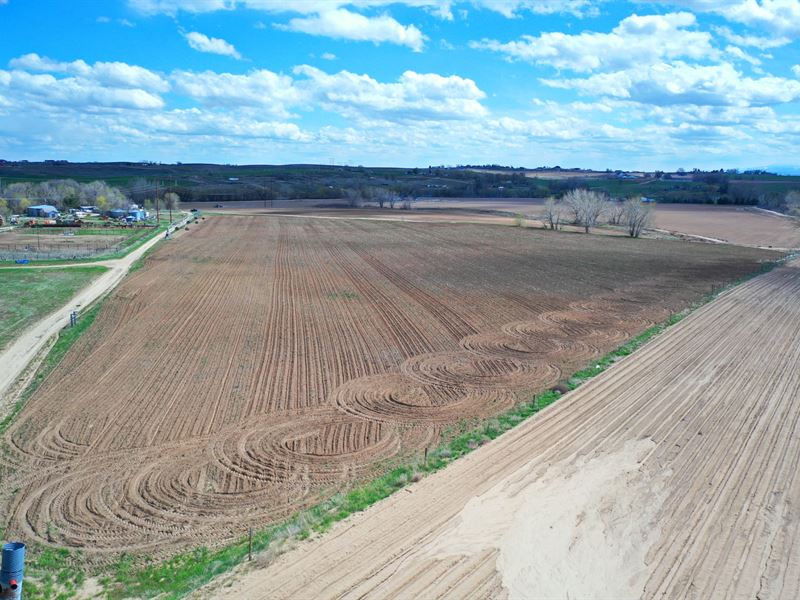 15 Acre Pivot Irrigated Certified : Caldwell : Canyon County : Idaho