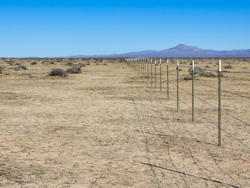 Black Friday 40 Acres Trump Special : Boron : San Bernardino County : California