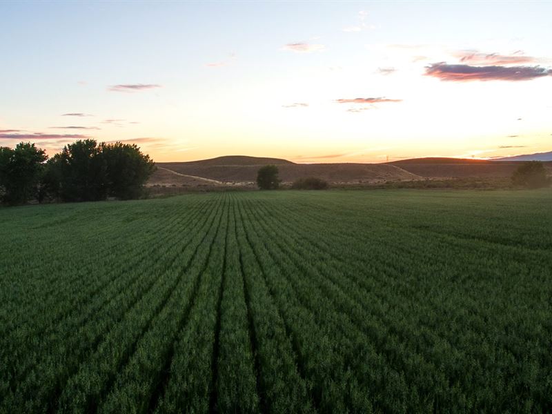 Peach Valley Ranch Hawkins : Delta : Delta County : Colorado