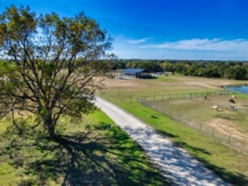 Grayson 39.33 Acre Winery / Ranch, Farm for Sale in Texas, 309163