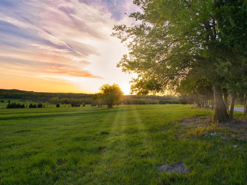 Elevated 43 Acres in Grayson County : Whitewright : Grayson County : Texas