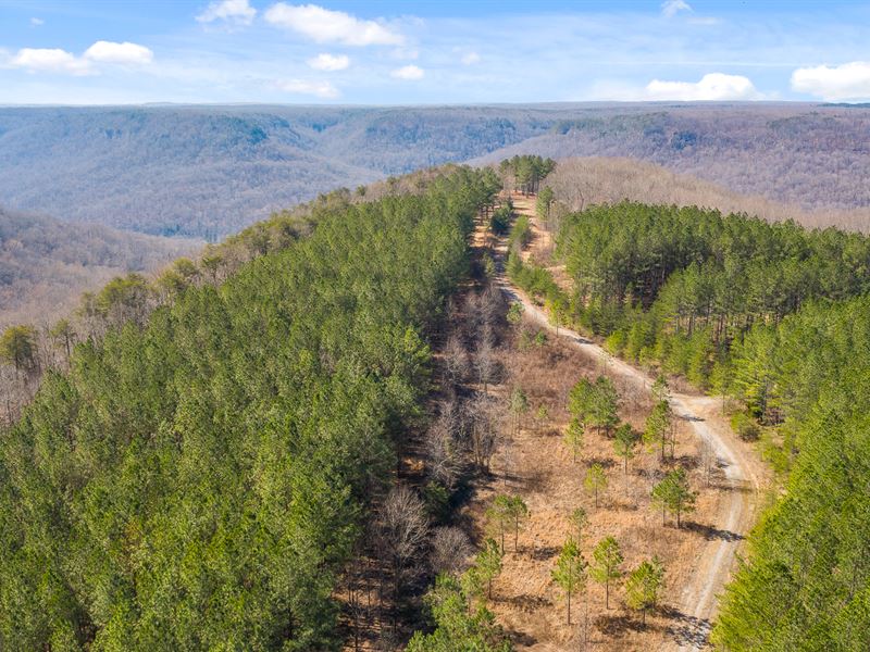 Retreat with State Park Frontage : Spencer : Van Buren County : Tennessee