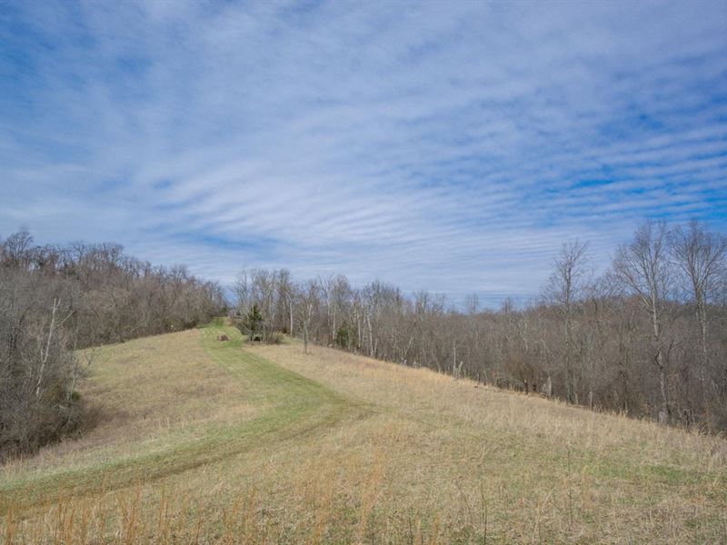 TR 196, 143 Acres, Lawrence Count, Farm for Sale in Ohio, 309205 FARMFLIP