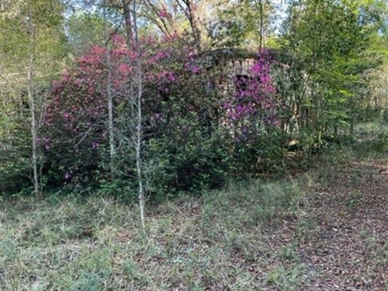 Corner Lot : Lake City : Suwannee County : Florida
