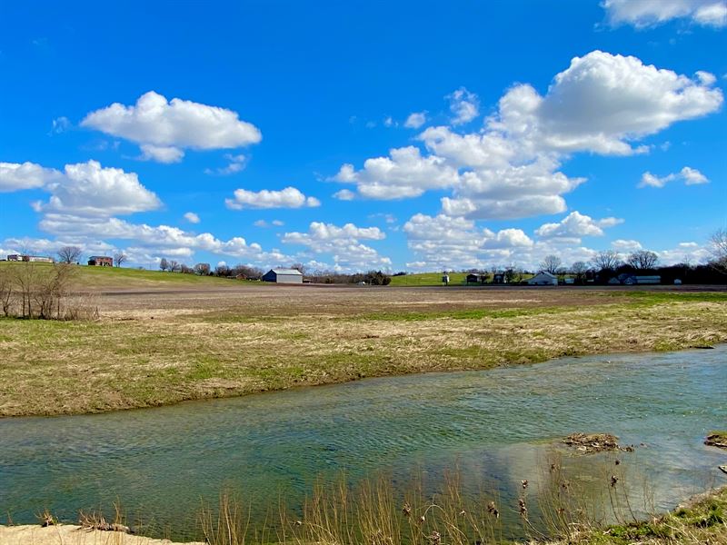 Absolute Auction in 6 Parcels Farm Auction in Cox's Creek, Nelson