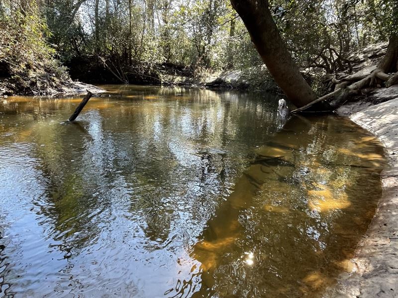 120 Acres Off Hwy 31 : Evergreen : Conecuh County : Alabama