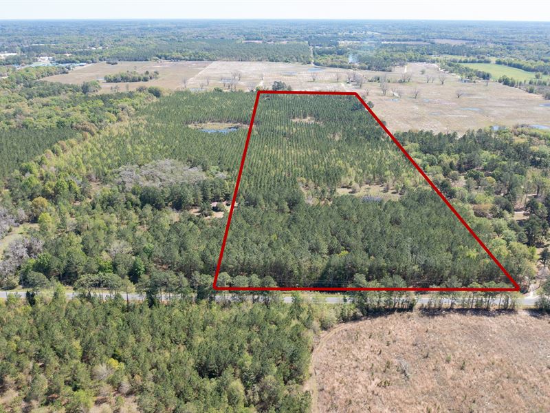 40 Acres Close To Town : Live Oak : Suwannee County : Florida